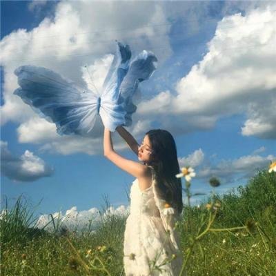 蝴蝶梦醒