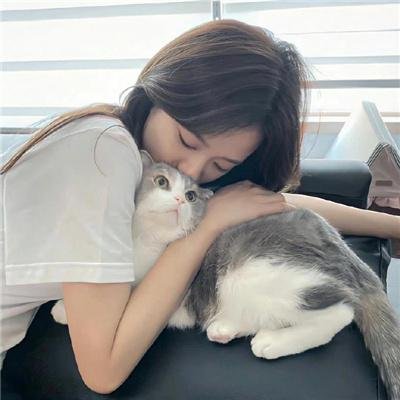 圣人莫德
